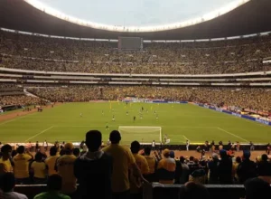 范戴克就西,蒙斯红牌争,议发声,世界杯转播,2026世界杯,赛事直播,转播平台,观看指南