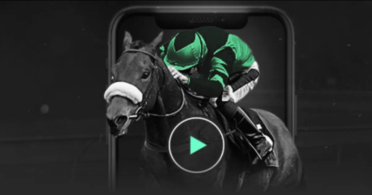 斯维茨,获曼联一线,队名单提名,世界杯转播,2026世界杯,赛事直播,转播平台,观看指南